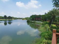 -迪茵湖田家舍生态农场