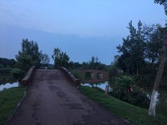 -白鹭湾湿地公园