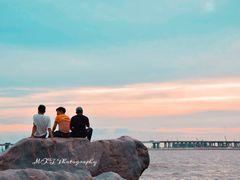 -宝安西湾红树林湿地公园