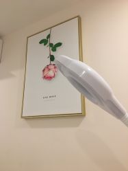 -MIDA蜜哒•科技逆龄美肤连锁