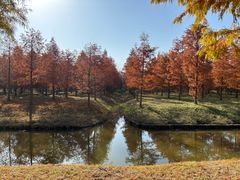 -黄海国家森林公园