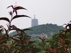 -永定河休闲森林公园