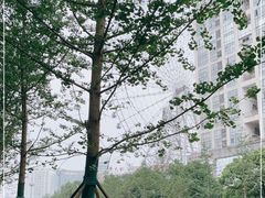 -星城之眼摩天轮