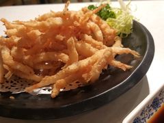 -裕.鹅庄