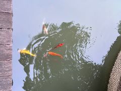 -上海虹桥宾馆(郁锦香品牌酒店)