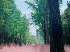 -苏州河梦清园环保主题公园