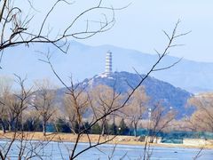 -颐和园