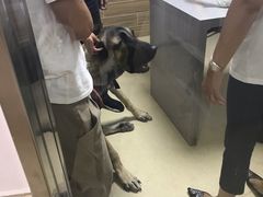 -爱侣宠医·鹦鹉专科·小型哺乳类·异宠专科(灵石路店)