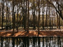 -上海共青森林公园