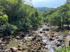 -广州白江湖森林公园