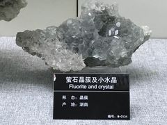 景点-甘肃地质博物馆