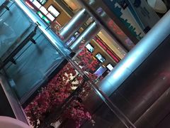 -红星电影世界开元地中海店(RealD杜比全景声)