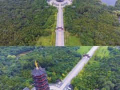 -江苏三台山国家森林公园