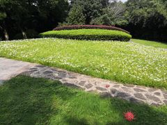 -菊花台公园