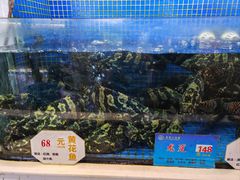 -益利大酒楼(井岸店)