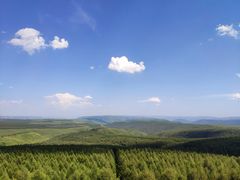 -塞罕坝国家级自然保护区