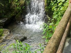 -藏龙百瀑风景区