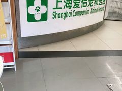 -爱侣宠医·鹦鹉专科·小型哺乳类·异宠专科(灵石路店)