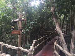-三亚亚龙湾人间天堂鸟巢度假村