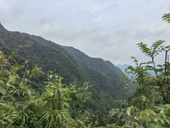 -娄山关景区