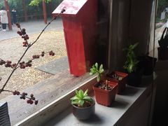 -红楼梦邮局