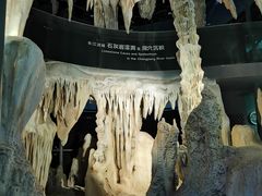 -武汉园博园(武汉自然博物馆)