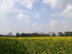 -中国天府农业博览园