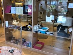 -Pets First伊珊娜洗护·精致美容·家庭式寄养(新会路店)