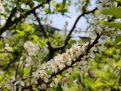 -中国移动南方基地