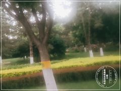 -永定河休闲森林公园