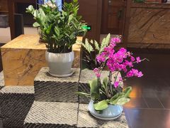 -黔蘑菇四季餐厅(观山湖店)