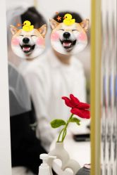 -迈瑞米求婚策划(静安店)