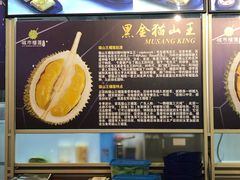 -都念榴莲·城市榴莲