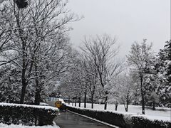 -秦始皇帝陵博物院-丽山园