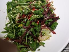 -Green Option(官舍店)