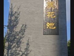 -莲花池公园