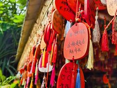 -曼听御花园