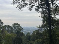 -火炉山森林公园