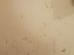 -7天酒店(广州动物园黄花岗地铁站店)