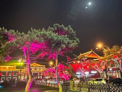 -大唐不夜城