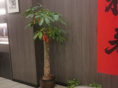 -红星国际广场