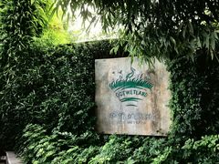 -华侨城湿地公园