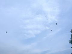 -广富林郊野公园