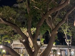 -网红落日悬崖餐厅 The Sky Gallery
