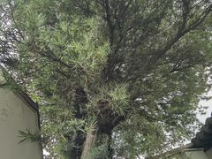 -徐霞客故居