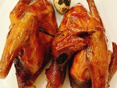 -清新鸡沙田乳鸽店(金融店)