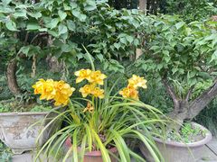 -成都杜甫草堂博物馆