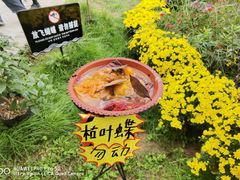 -白鹿原影视城