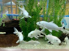 -顺德南宏海立方海洋公园