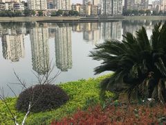 -喷泉公园